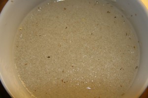 Psyllium Husk Psyllium husk in water