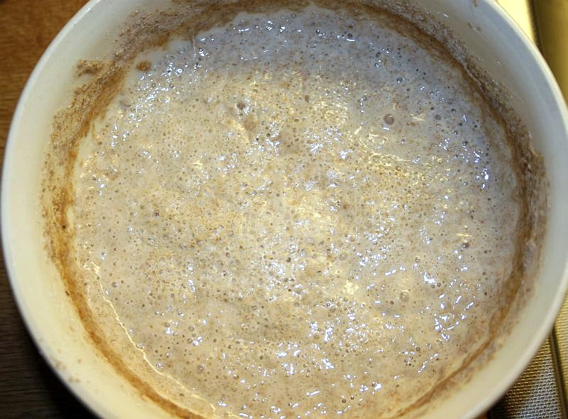 Sourdough starter