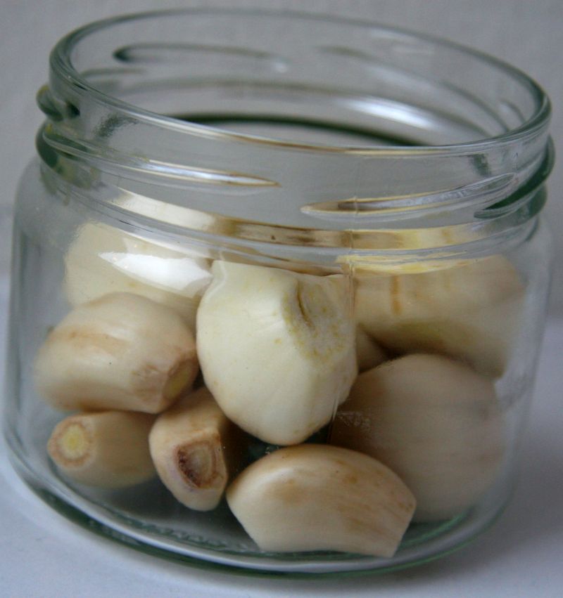 fermenting garlic