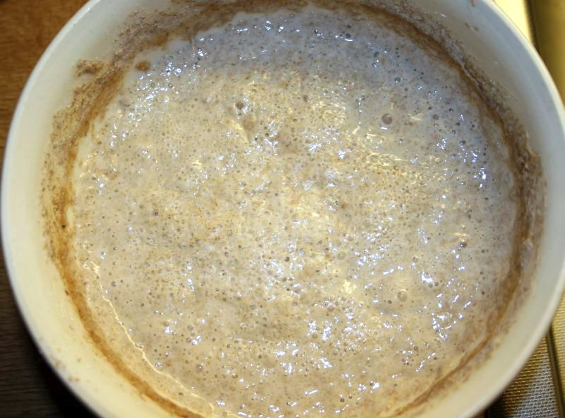 sourdough starter recipe