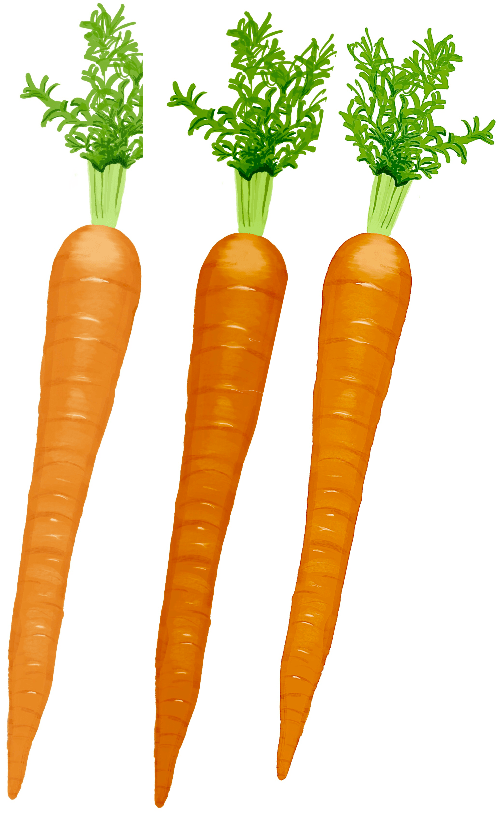 Carrots