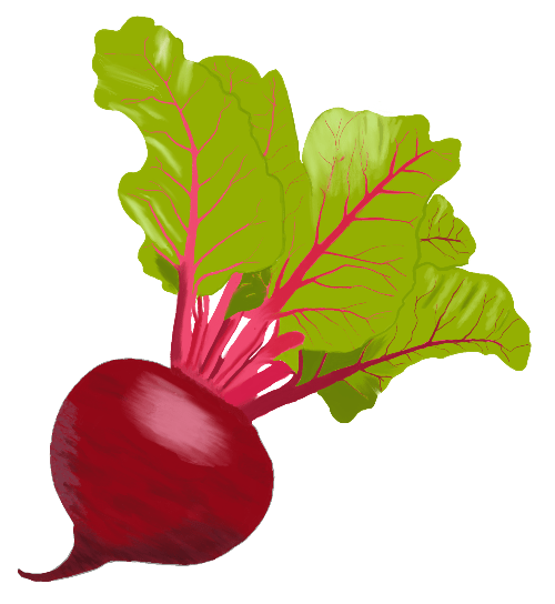 Beetroot 