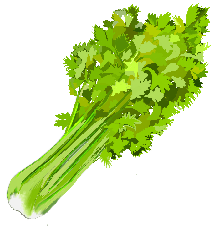 Celery 