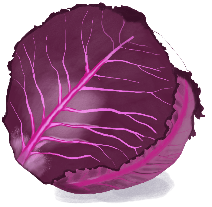 Red cabbage