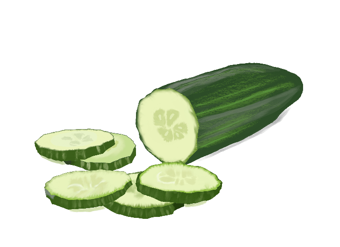 Cucumber