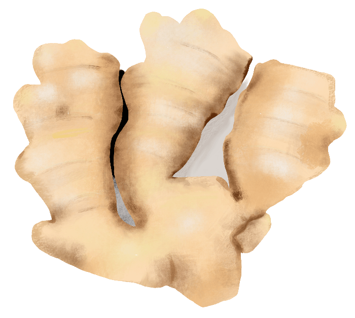 Ginger root 