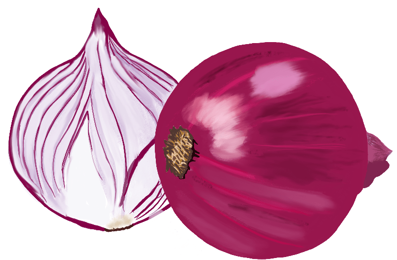 Onion