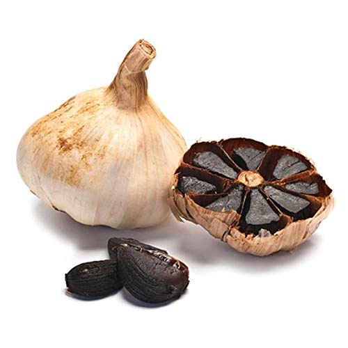 Black garlic head