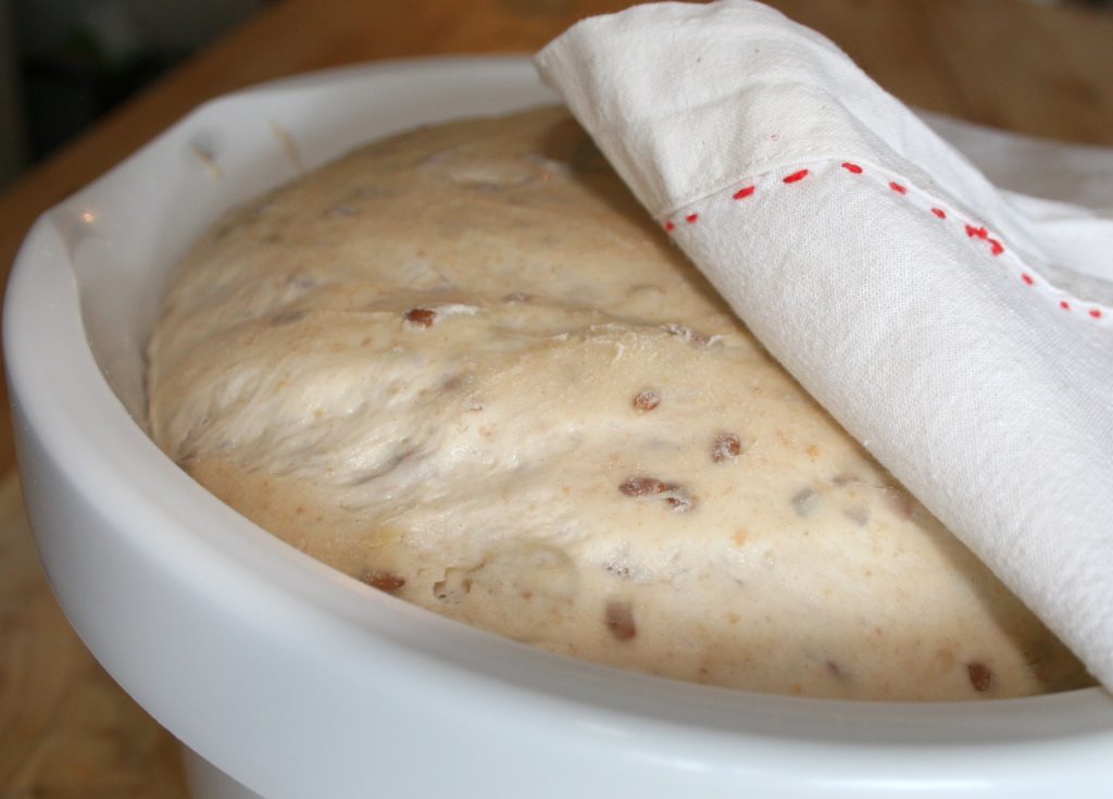 Sourdough in bowl